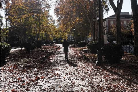 Tour Madrid lumieres - Prado Avenue